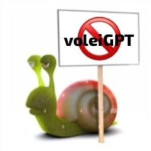 VoleiGPT